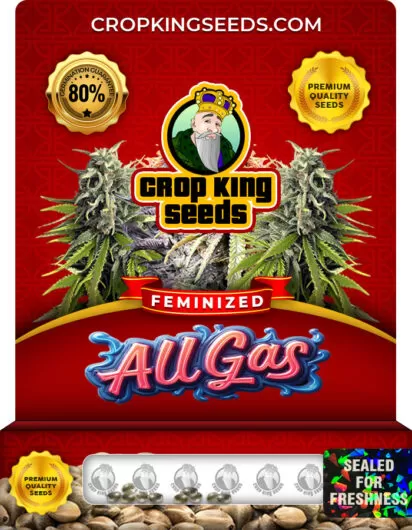 all gas-image